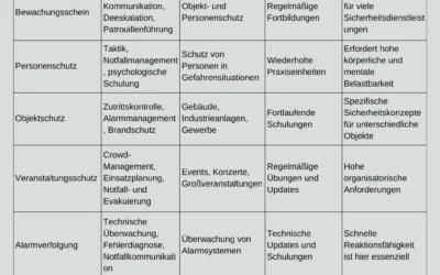 Welche Scheine gibt es für Security?